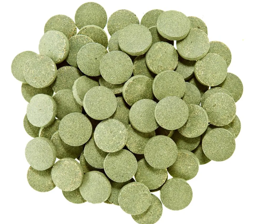 Dehner Aqua Spirulina-Tabs, 90 Stk.
