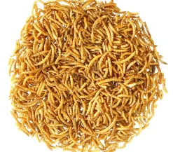 Dehner Aqua Teichfischsnack Mehlwürmer, 160 g