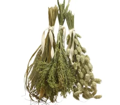 Dehner Best Nature Rispenhirse, 50 g