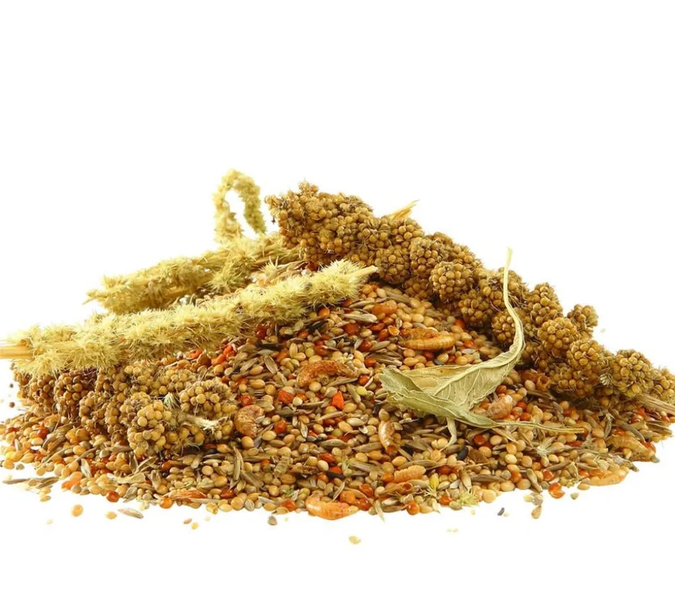 Dehner Best Nature Vogelfutter für Exoten