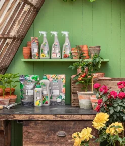 Dehner Bio Gemüse-Dünger, flüssig, 1 l