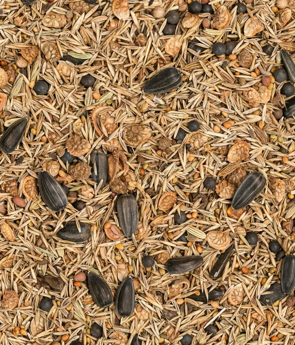 Dehner Bio Nützlingswiese, 250 g