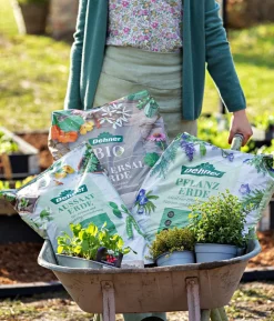 Dehner Bio Universal-Erde, 48 x 40 Liter