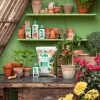 Dehner Bonsai-Dünger, flüssig, 250 ml