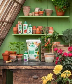 Dehner Bonsai-Dünger, flüssig, 250 ml