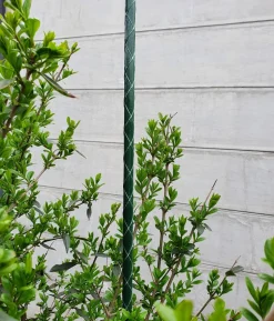 Dehner Fiberglas-Pflanzenstab