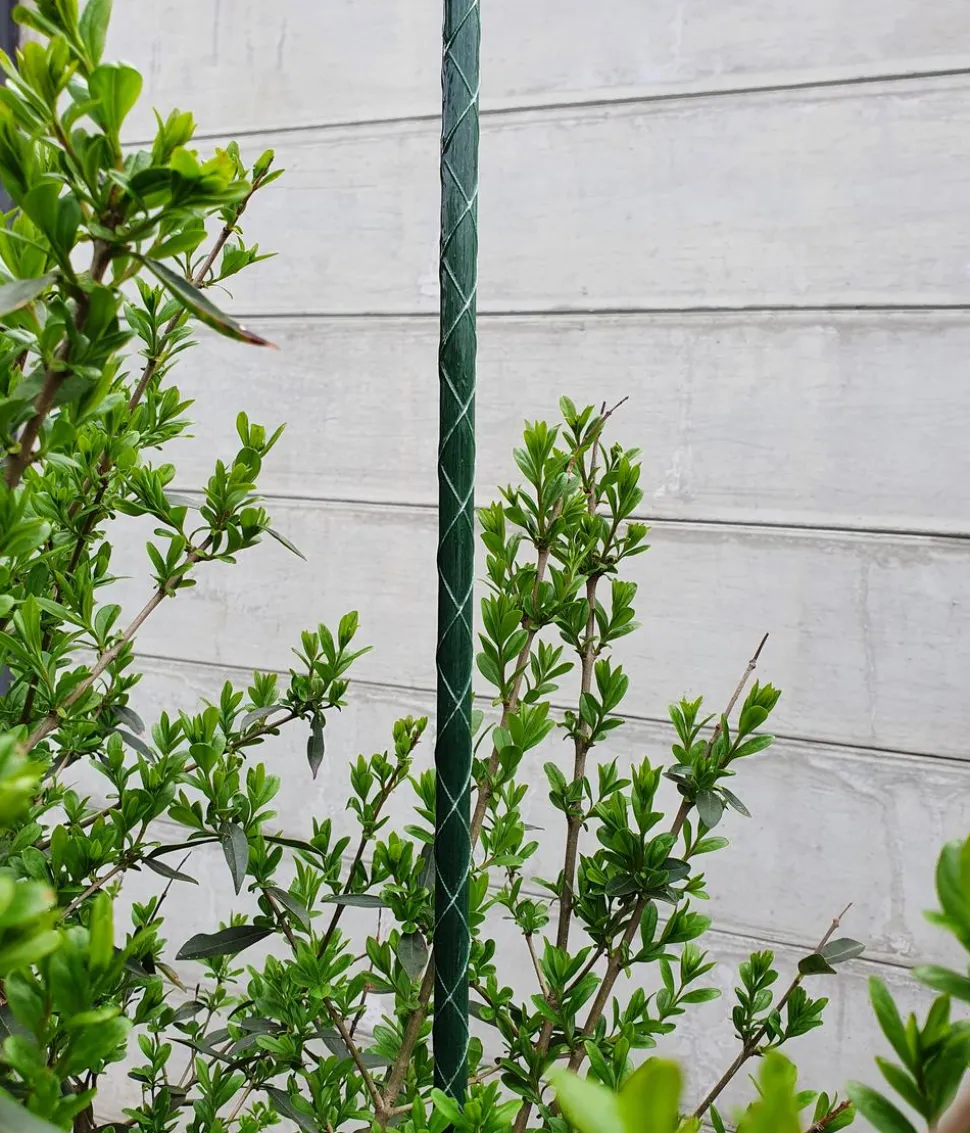 Dehner Fiberglas-Pflanzenstab