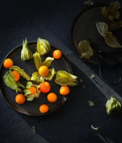 Dehner Gourmet Garten Goldandenbeere