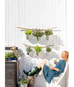 Dehner Gourmet Garten Salbei