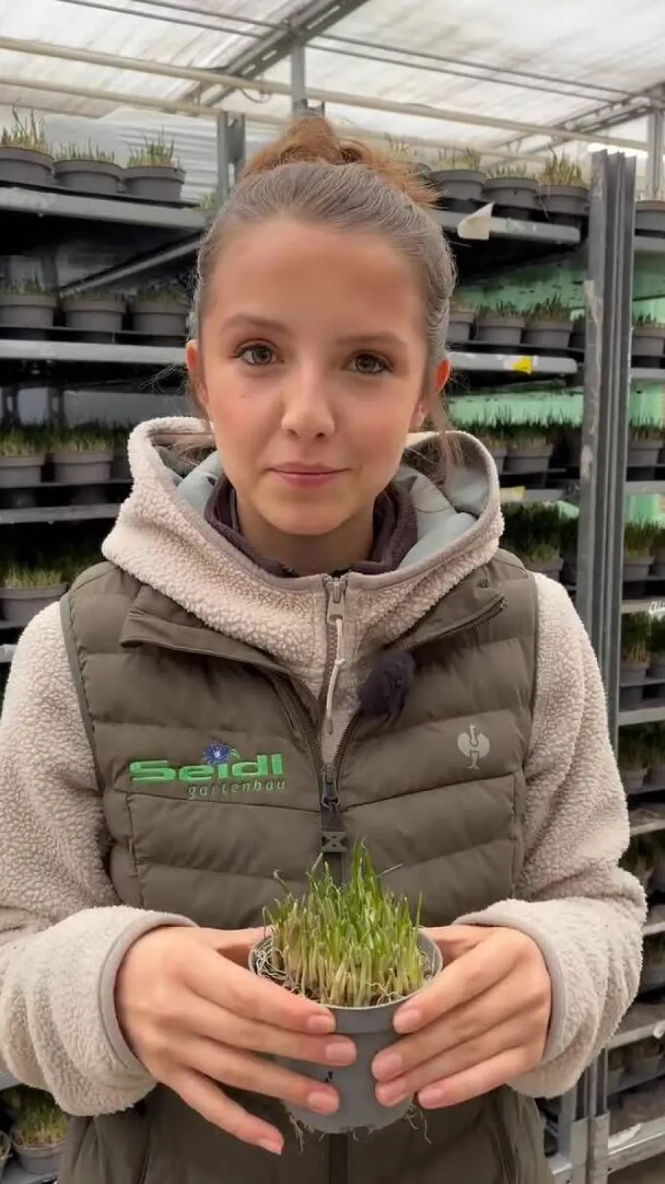Dehner Gourmet Garten Schnittknoblauch