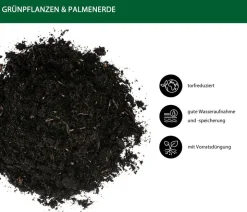 Dehner Grünpflanzen- und Palmenerde, 75 x 10 Liter