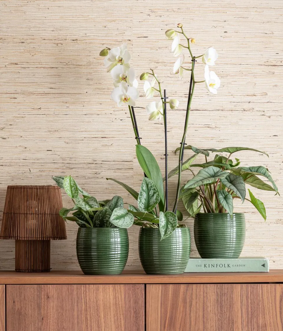 Dehner Keramik-Übertopf Florin, bauchig, grün, ca. Ø15 cm