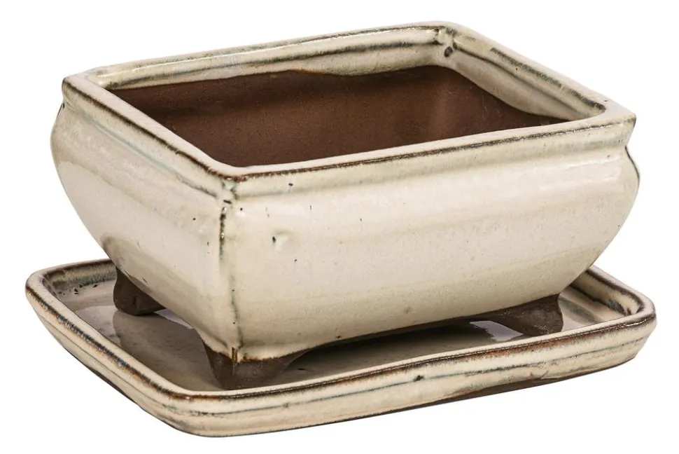 Dehner Keramik-Bonsaischale, rechteckig, ca. B15/H6,5/T11 cm