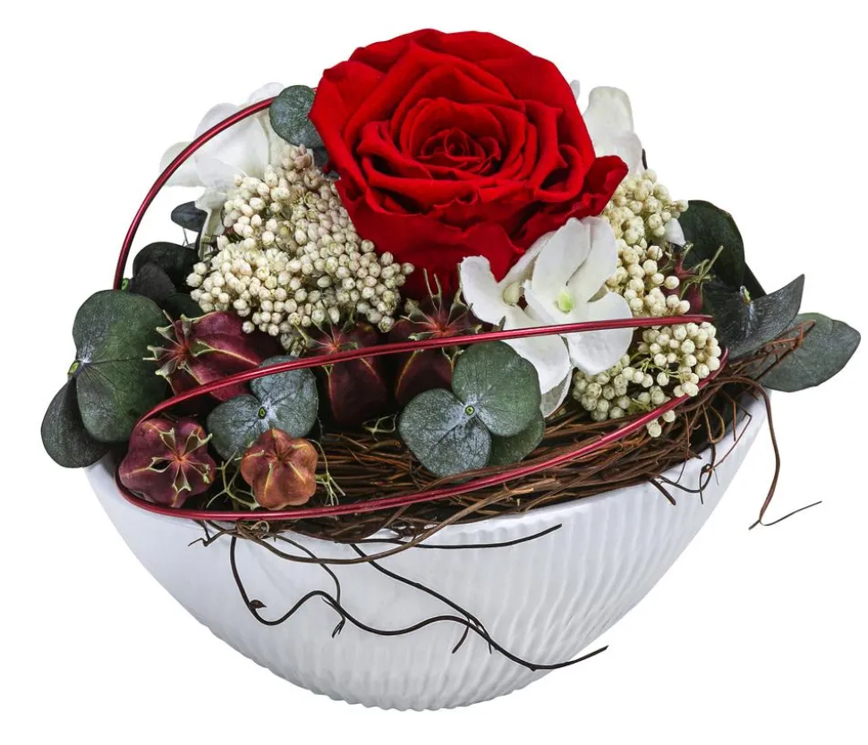 Dehner Keramik-Jardiniere mit Longlife-Rose Tiana, rot, ca. B17/H12/T8 cm