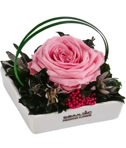 Dehner Keramik-Schale mit Longlife-Rose Dita, ca. B10/H11/T10 cm