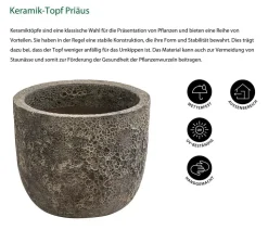 Dehner Keramik-Topf Priäus, rund, grau-braun