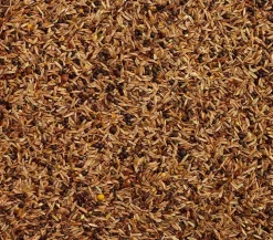 Dehner Lieblinge Feinsämereien, 500 g