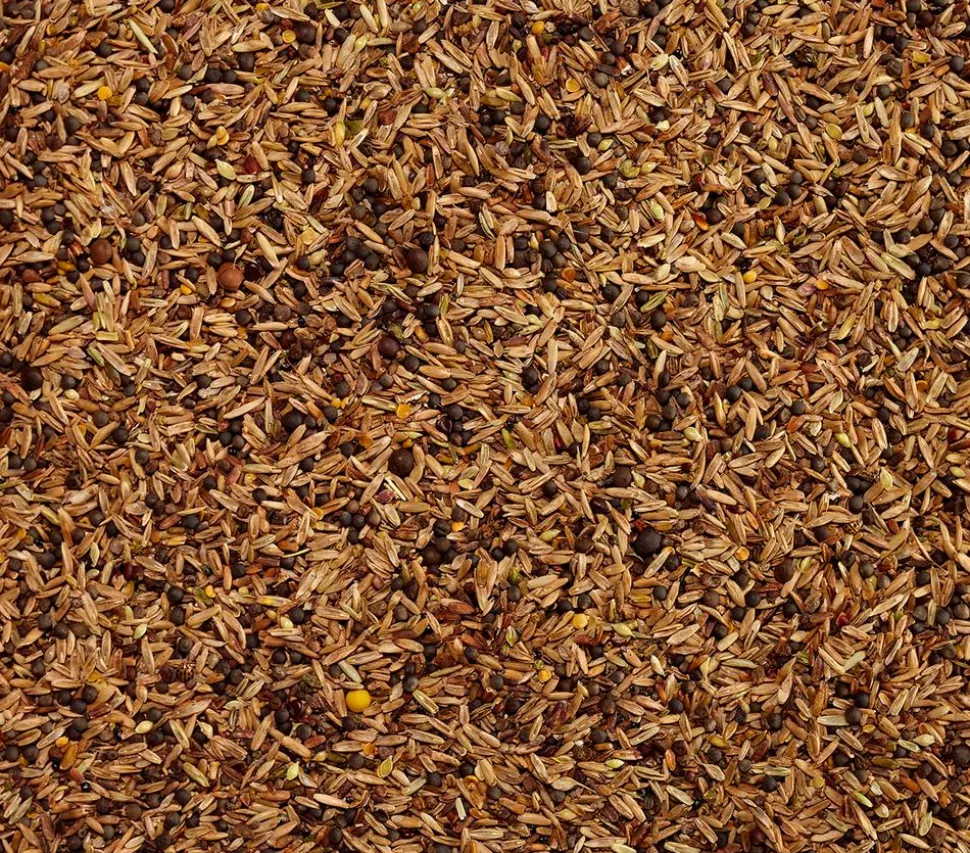 Dehner Lieblinge Feinsämereien, 500 g