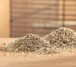 Dehner Lieblinge Feinsämereien, 500 g