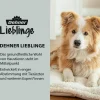 Dehner Lieblinge Floh- und Zeckenschutz Spot On für kleine Hunde, 4 x 1 ml