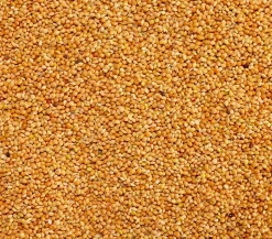 Dehner Lieblinge Gelbe Hirse, 1 kg