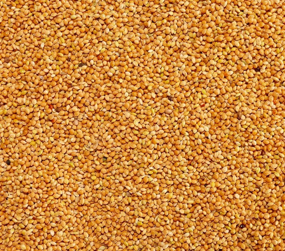 Dehner Lieblinge Gelbe Hirse, 1 kg
