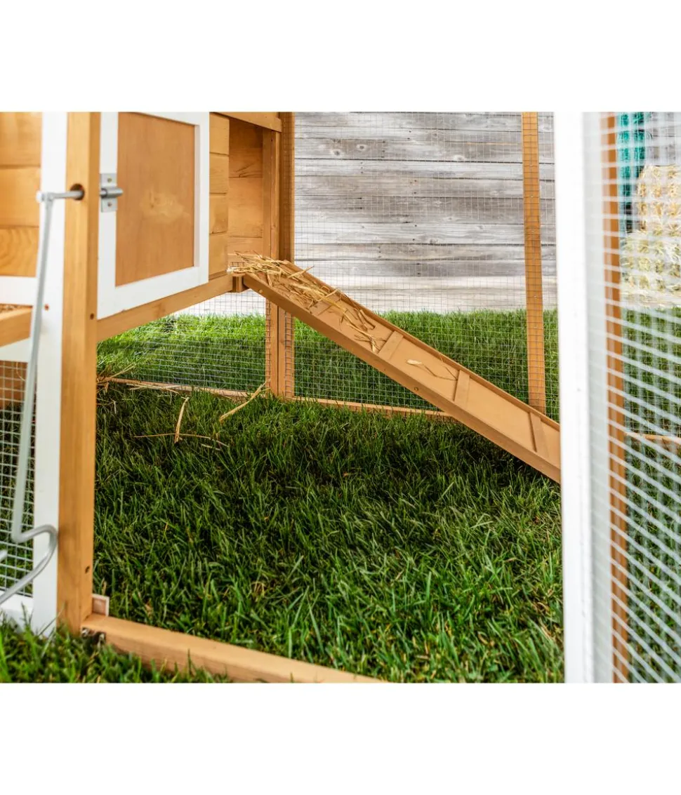 Dehner Lieblinge Hühnerstall Chicken House, ca. B247/H103/T75 cm