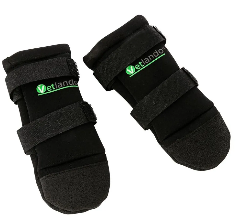 Dehner Lieblinge Hundebekleidung Pfotenschutzschuhe