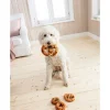 Dehner Lieblinge Hundesnack Hunde-Bagel mit Huhn