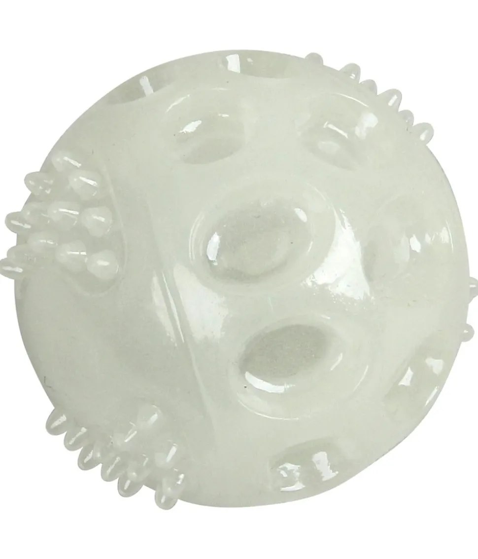 Dehner Lieblinge Hunde-Spielball Luminous