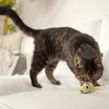 Dehner Lieblinge Katzenspielzeug Spielmäuse Funny, 2er-Set