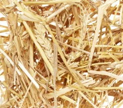 Dehner Lieblinge Kleintierstroh, 600 g