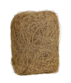Dehner Lieblinge Kokosfasern, 50 g