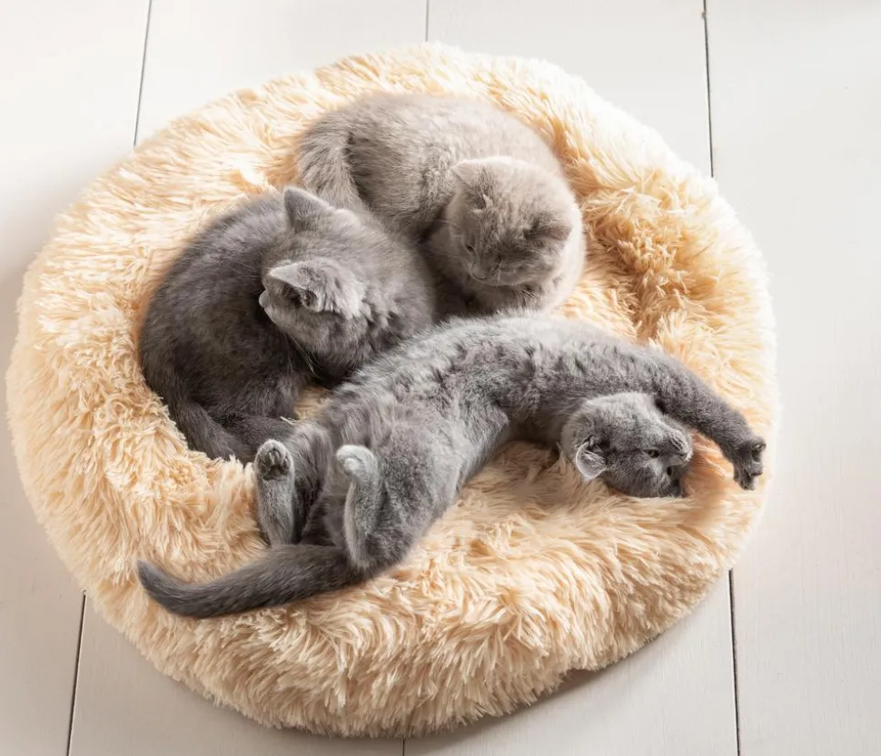Dehner Lieblinge Kuschelbett Cookie, rund