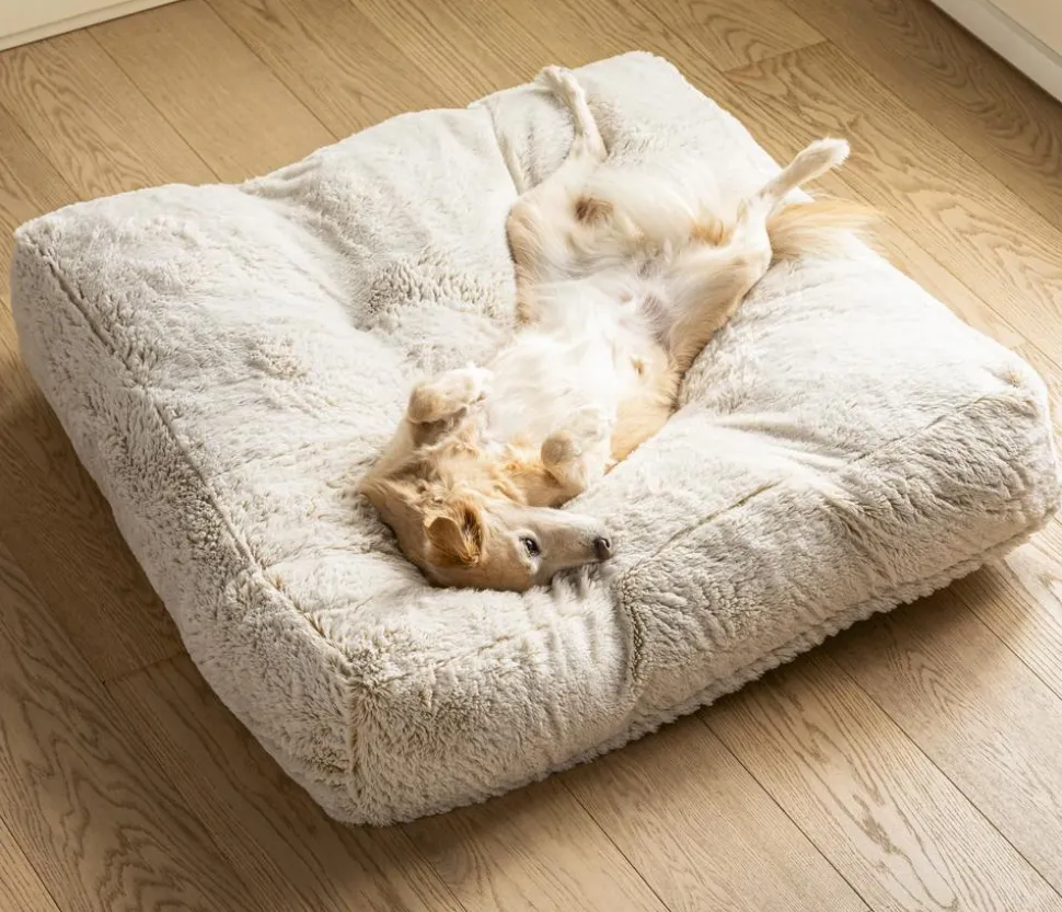 Dehner Lieblinge Kuschelkissen Chichi, rechteckig, weiß, ca. B90/H20/T90 cm