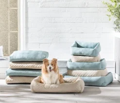 Dehner Lieblinge Kuschelkissen Kenzie, rechteckig, beige