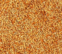 Dehner Lieblinge Lebertranfutter für Sittiche und Exoten, 20 g