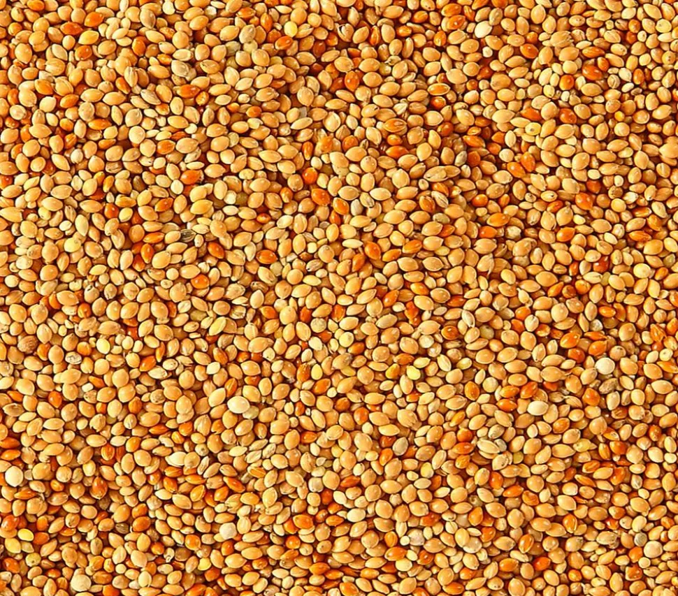 Dehner Lieblinge Lebertranfutter für Sittiche und Exoten, 20 g