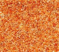 Dehner Lieblinge Leckerbissen für Sittiche und Exoten, 20 g
