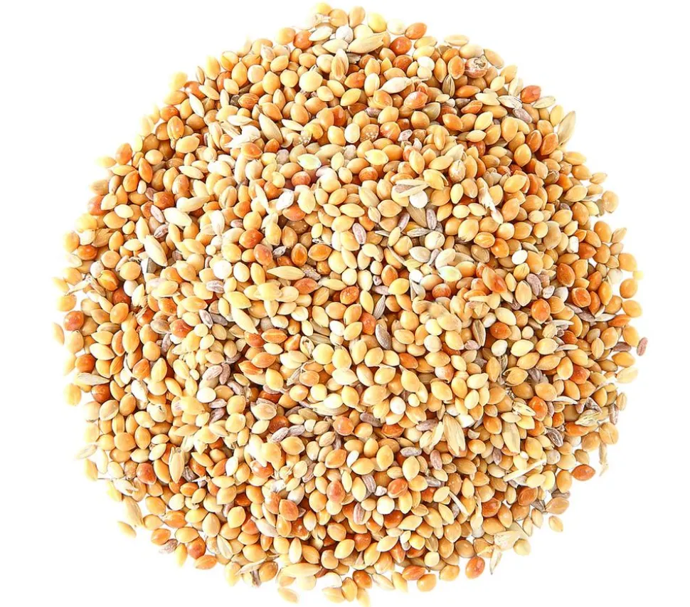 Dehner Lieblinge Mauserhilfe für Sittiche und Exoten, 20 g