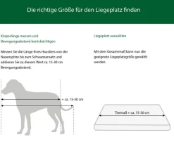 Dehner Lieblinge Orthopädisches Hundekissen Somnus, rechteckig