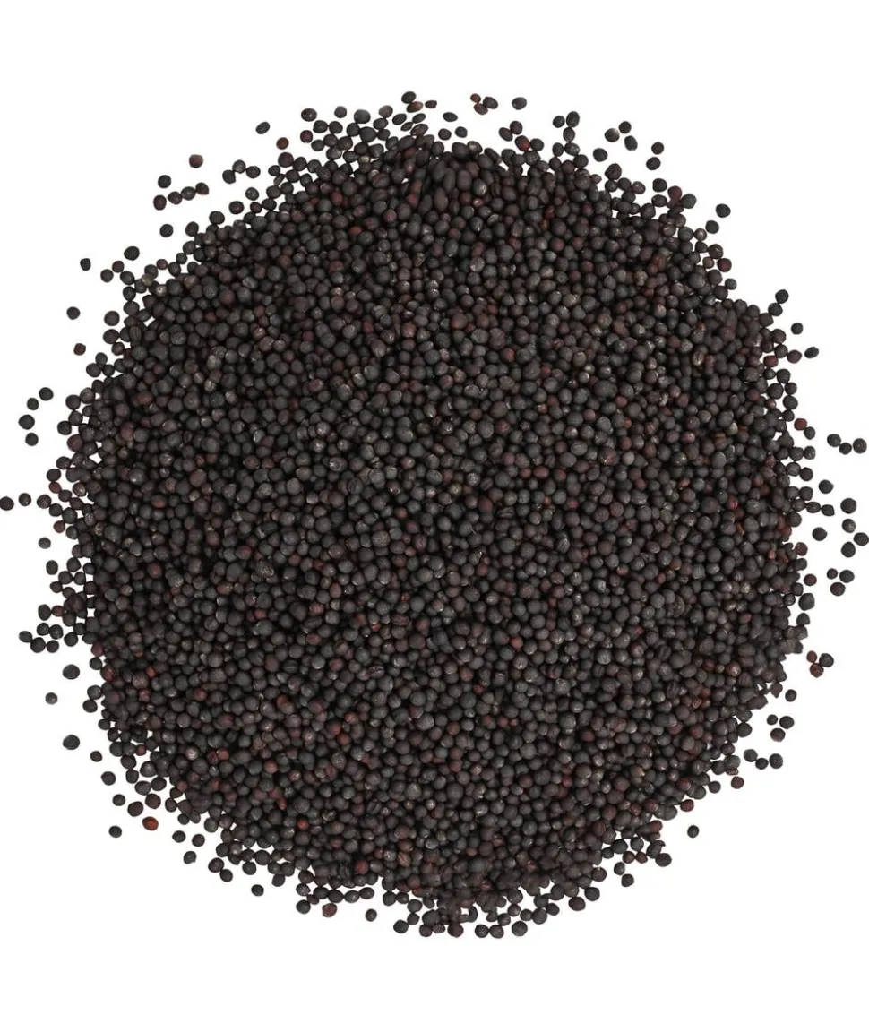 Dehner Lieblinge Rübsen, 1 kg