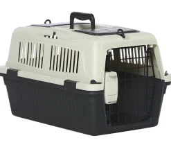 Dehner Lieblinge Transportbox Dino