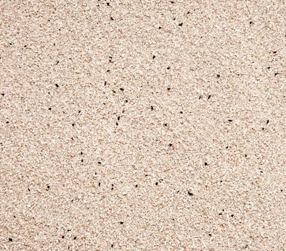 Dehner Lieblinge Vogelsand, 6 x 5 kg