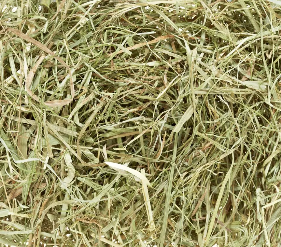 Dehner Lieblinge Wiesenheu, 800 g