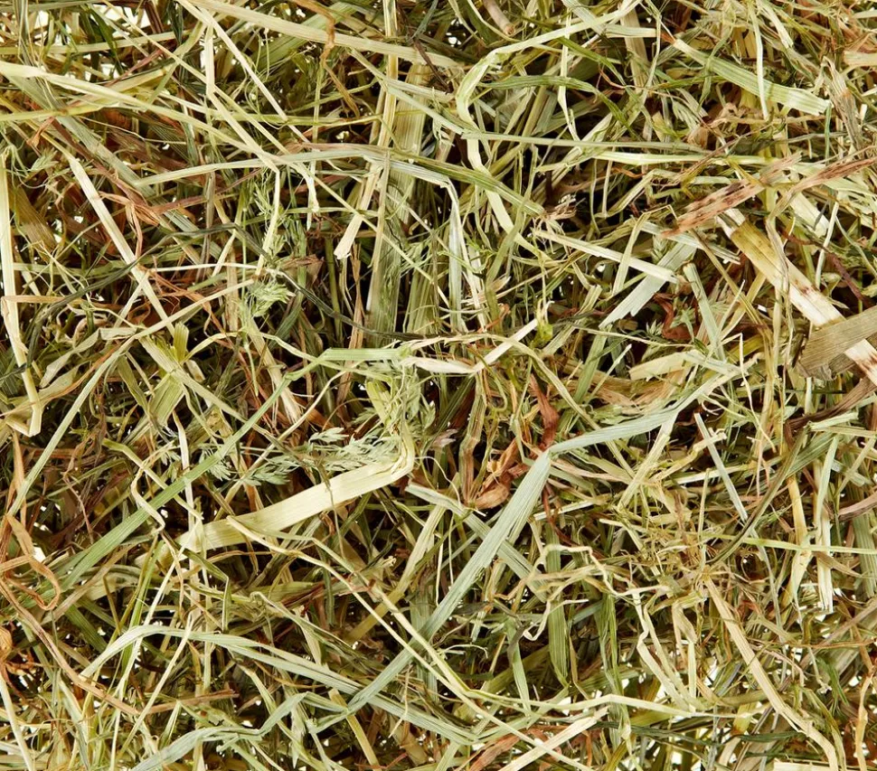 Dehner Lieblinge Wiesenheu, 3 kg