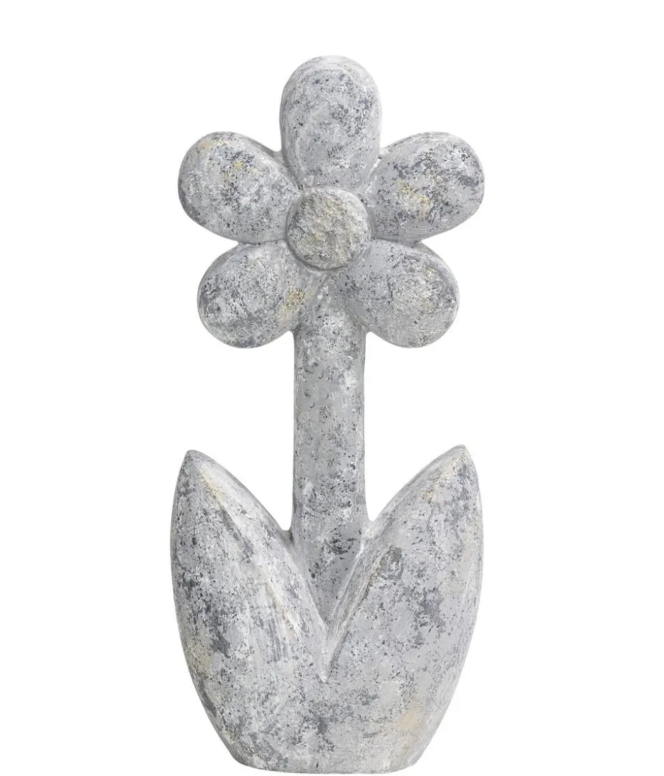 Dehner Magnesia-Blume