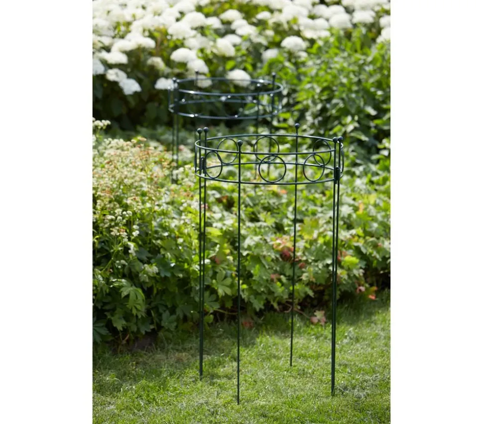 Dehner Metall-Pflanzenstütze Annabelle, ca. H100 cm