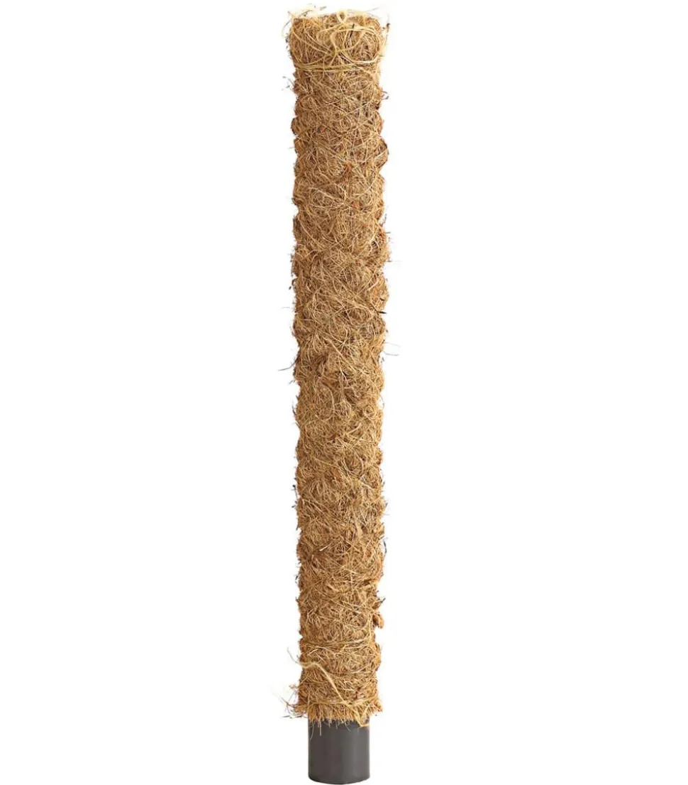 Dehner Moosstab