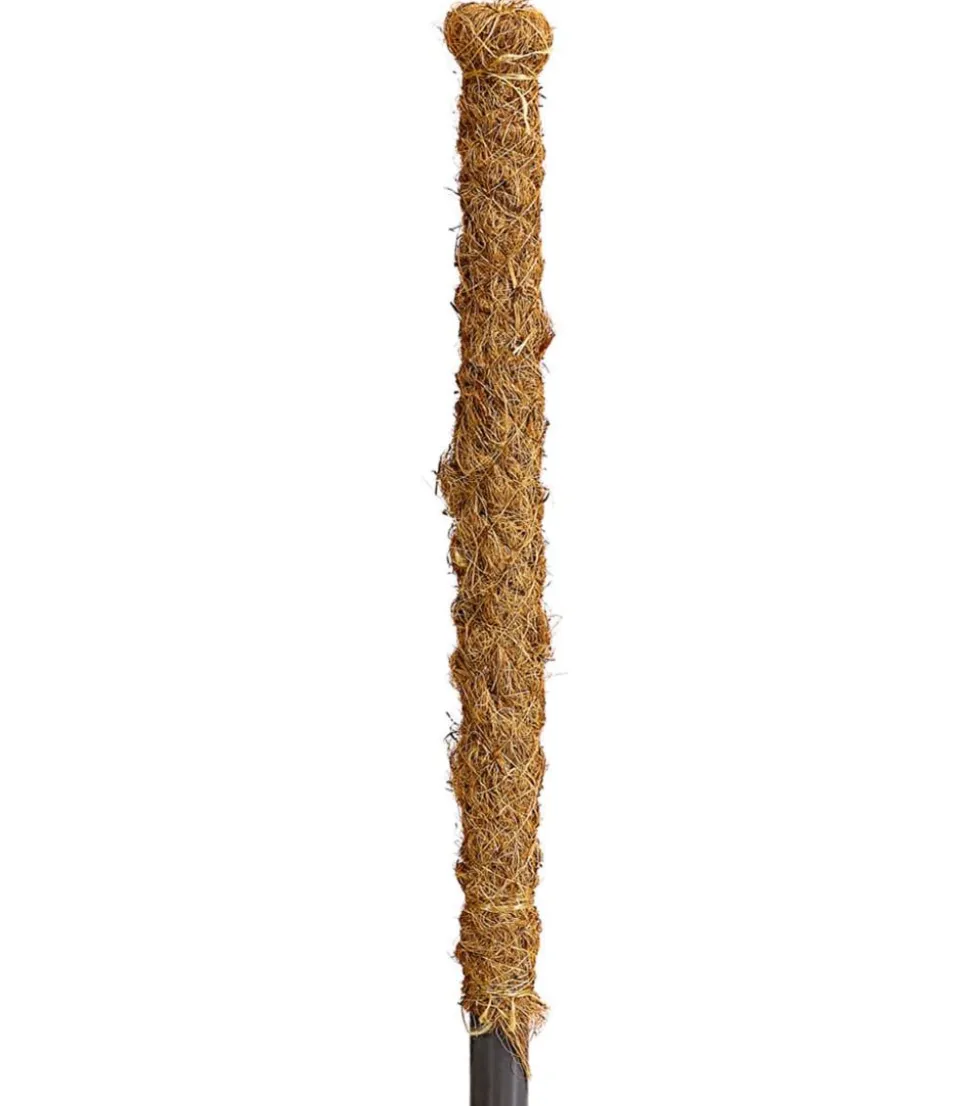 Dehner Moosstab